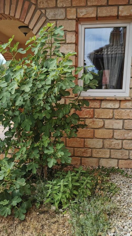 Mediterrania Apartment Keszthely Eksteriør bilde